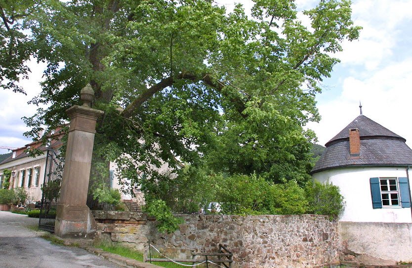 Schloss Dautenstein (Privat), Germany